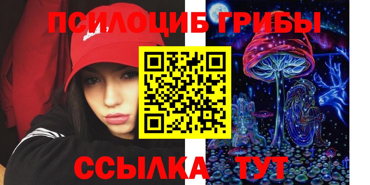 Новомосковск  Галлюциногенные грибы Magic Shrooms  продажа наркотиков  Вход с VPN 